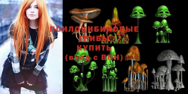 apvp Алексин