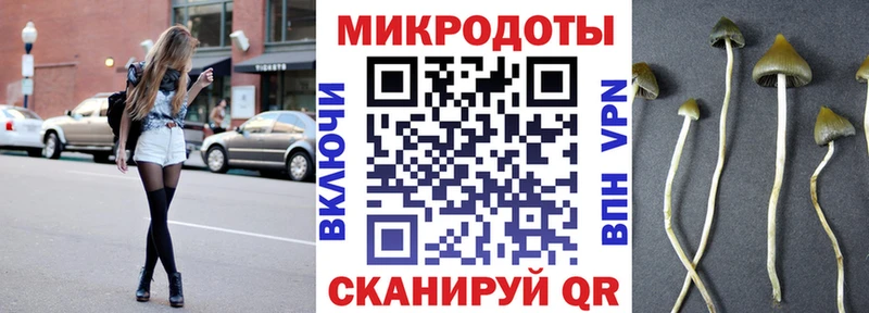 Псилоцибиновые грибы Psilocybe купить наркотики цена Киселёвск